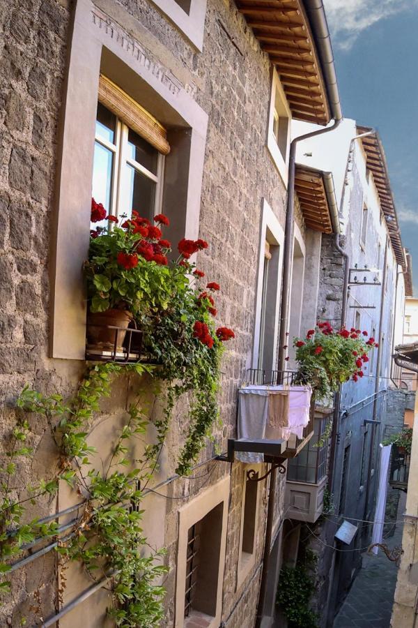 La Rosa Scarlatta Daire Viterbo Dış mekan fotoğraf